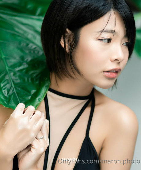 Maronphoto