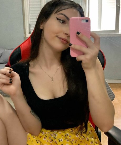 Cindynami