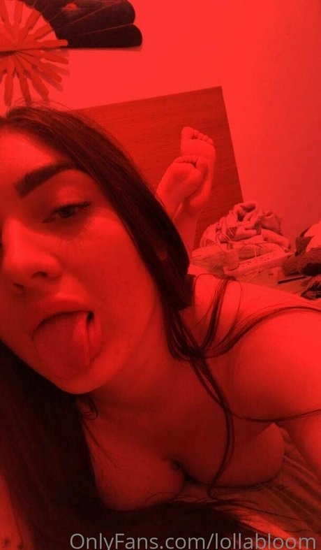 Lollabloom