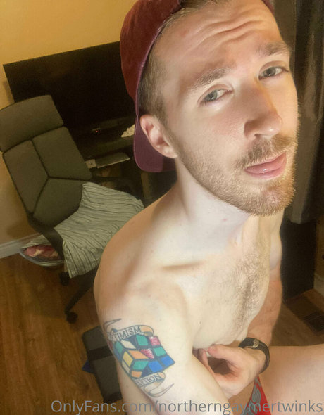 Northerngaymertwinks