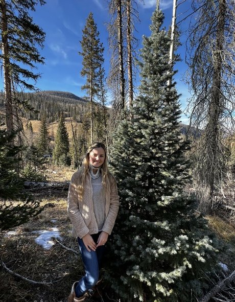 Southern Belle Brook